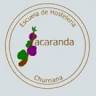 IES Jacaranda