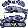 Iguana Azul