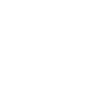 Istituto Italiano degli Studi Islamici