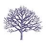 IJK Timber Group