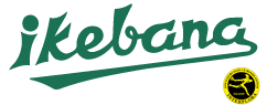 Ikebana Florist Valladolid