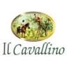 Azienda Agricola 