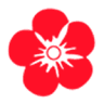 Il Fiore Pelletteria