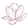 Il Fiore