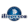 ILIOPESCA - VIA ZARINI - Prato