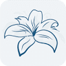 Illumina Skin Care Massage LLC