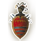 Il Poggio