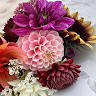 Ilse van Es Bloemenatelier