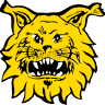Ilves Ikuisesti ry
