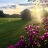 Imbil Country Cabins