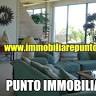 PUNTO IMMOBILIARE