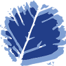 Impulse e.V.