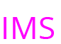 IMS Immobilien Molnar Susanne