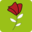 India Florist Network - Send Flowers to India Online on the Same Day