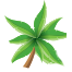 India Palms