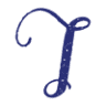 Indigo Woman