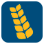 Infasa Industry Flours
