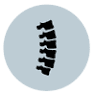 In Motion Family Chiropractic