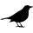 Inndoors