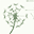 Inner Peace Holistic Herbal Therapy