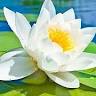 Inner Truth Massage