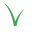 InnoVert