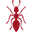 House insects