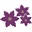 Inspiration Inn Bloom