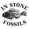 In Stone Fossils