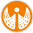 Insurance Web