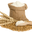 Integrain