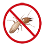 Integrity Termite