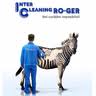 Inter Cleaning RO GER LLC
