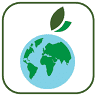 International Fresh Market