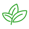 Nerida’s Plants