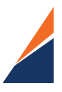 International Alpine Guides