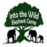 Into the Wild Elephant Camp