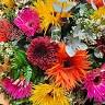 Intuitions Fleurs