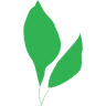 The Institute of Plant Biology and Biotechnology