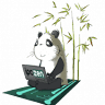 iPCZEN Computer Sigean