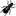 Innovative Pest Management Associates
