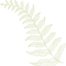 IRAZABALA