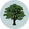 Ireland Grove Dental