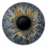 Eyepixx Iris-Fotografie Hamburg