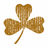 The Dubliner Irish Pub