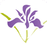 Iris Homeopatia