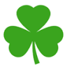 Irish School S.L. - servicios lingusiticos en Irlanda