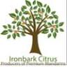 Ironbark Citrus
