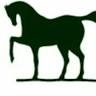 Iron Horse Equestrian Supplies Ltd.