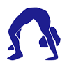 Iron Rail Gymnastics Academy